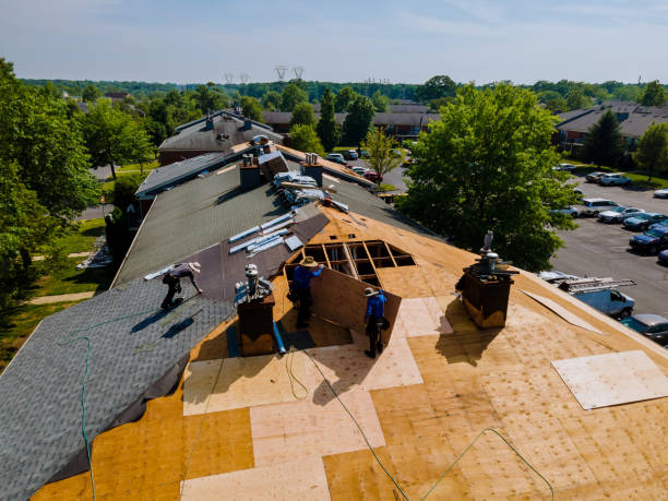 Best Storm Damage Roof Repair  in New Athens, IL