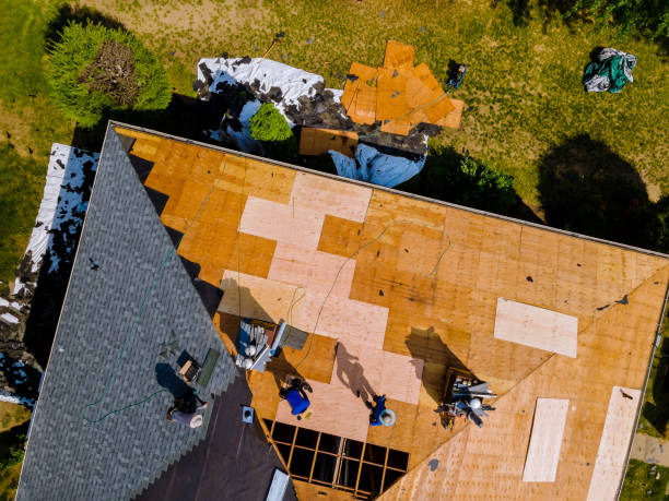 Best Roof Maintenance Services  in New Athens, IL