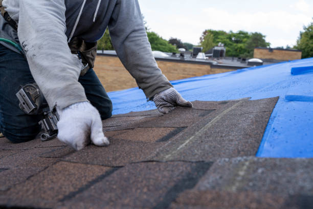 Best New Roof Installation  in New Athens, IL