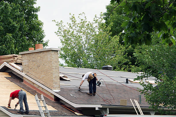 Best Roof Maintenance Services  in New Athens, IL