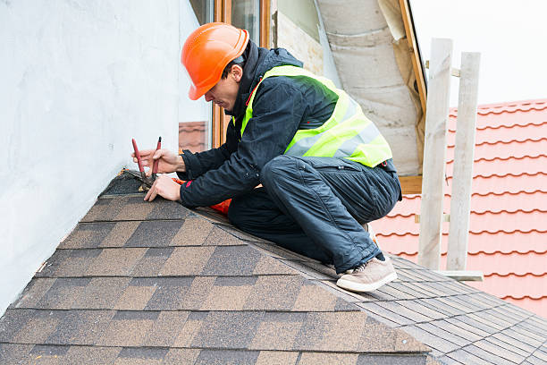 Best Roof Gutter Cleaning  in New Athens, IL